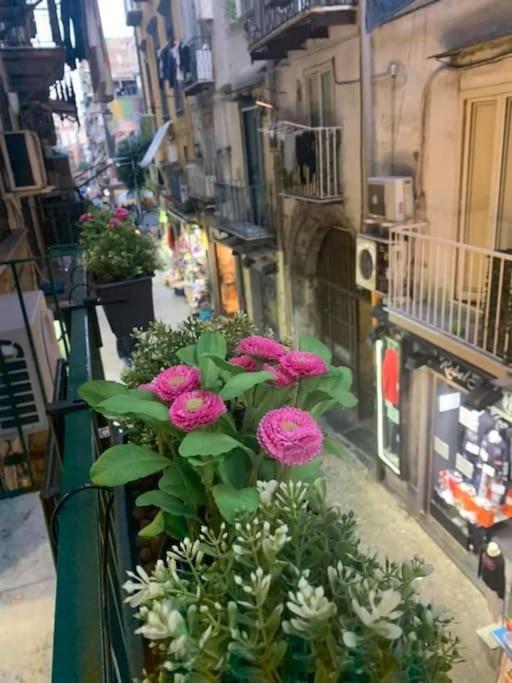 La Casa Di Patta A Spaccanapoli Nápoles Exterior foto